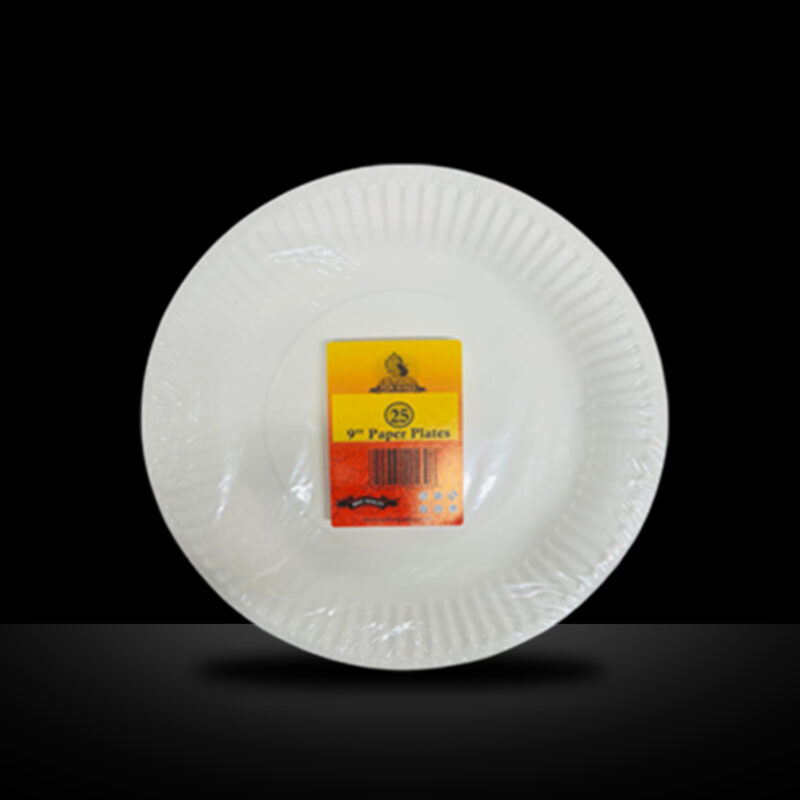 MR KING 9" PAPER PLATE  (100  PACK)