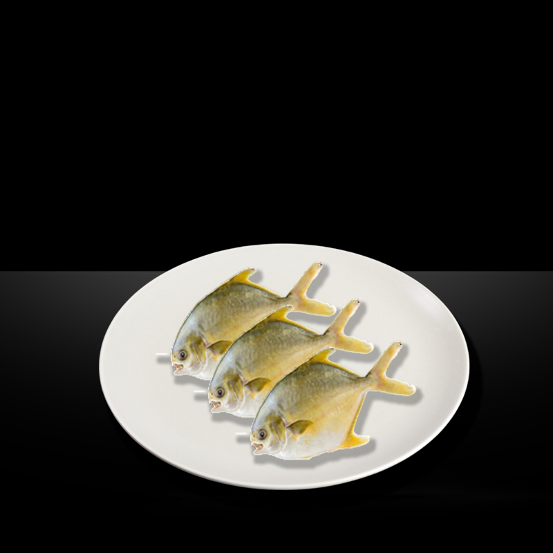 MR KING GOLDEN POMFRET WHOLE