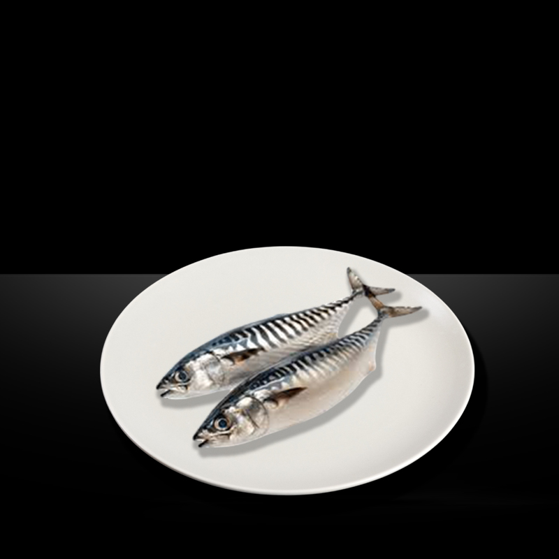 MR KING HORSE MACKEREL