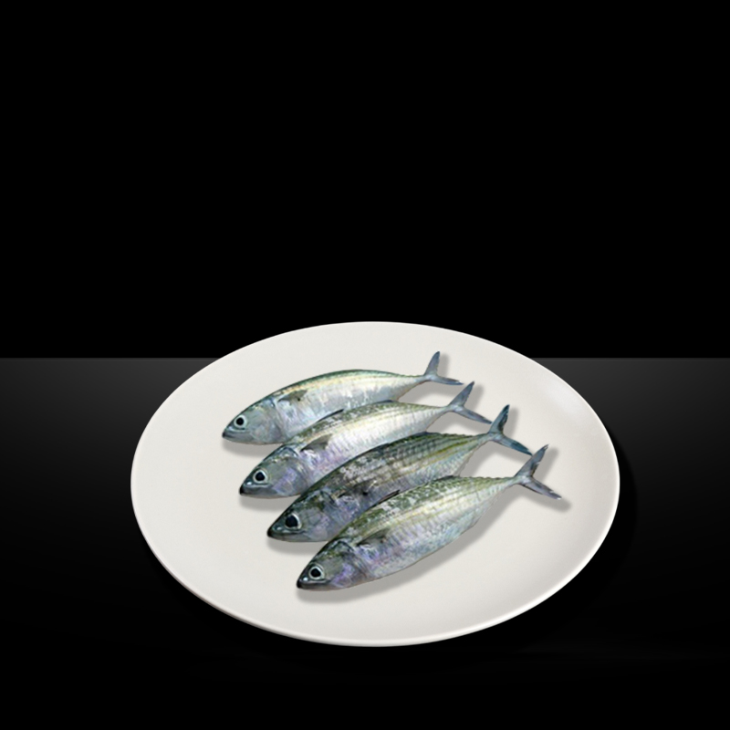 INDIA MACKEREL HEAD ON