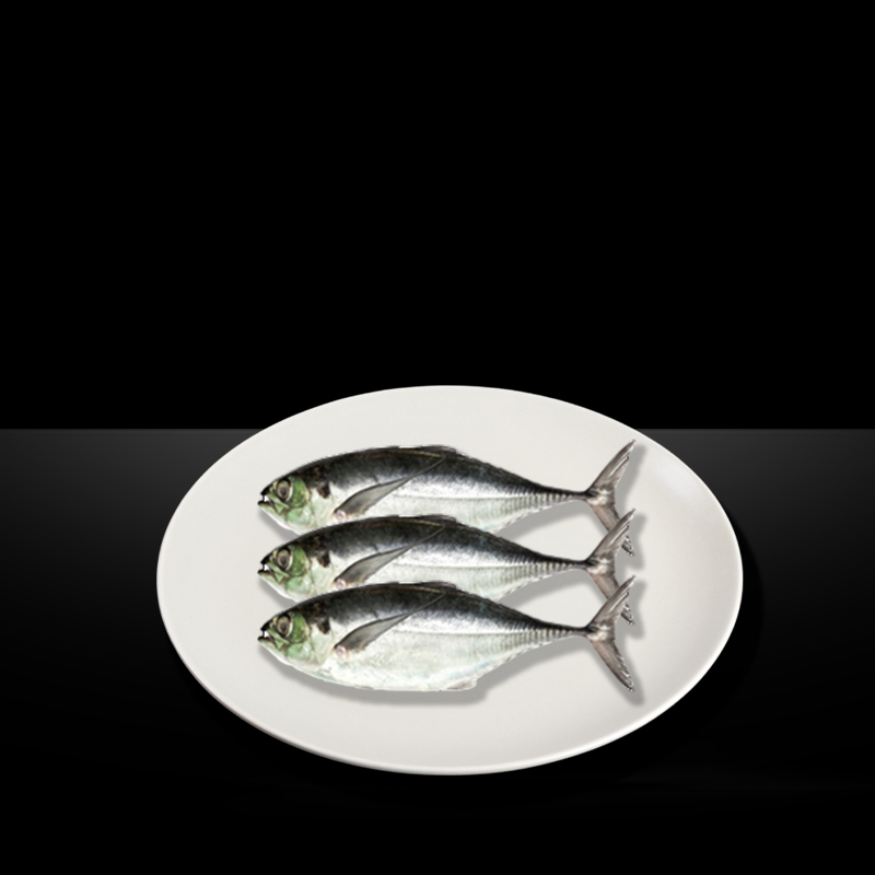 MR KING INDIAN SCARD