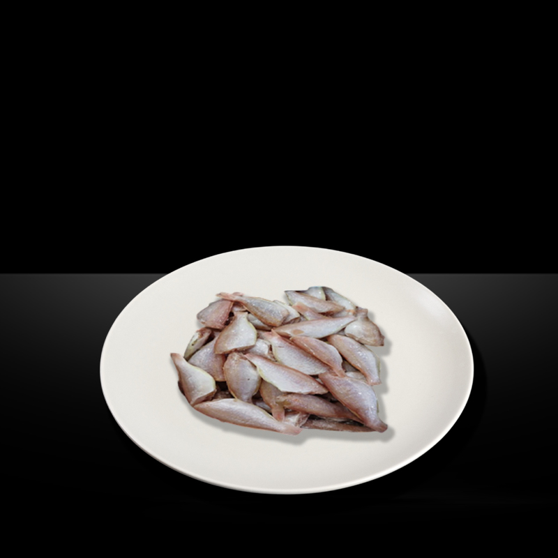 MR KING JAPANESE THREADFIN