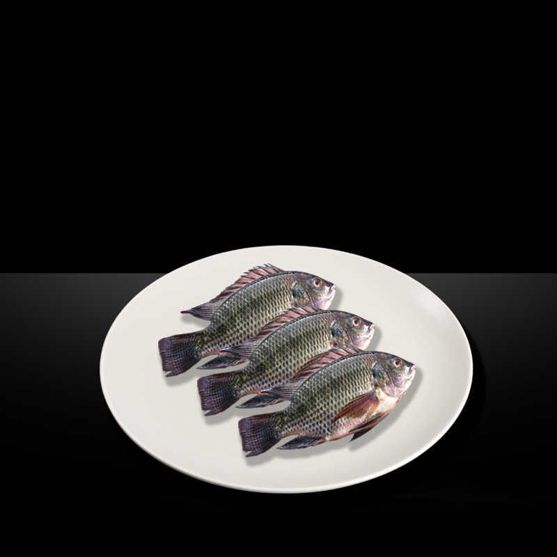 MR KING THILAPIA WHOLE CLEAN