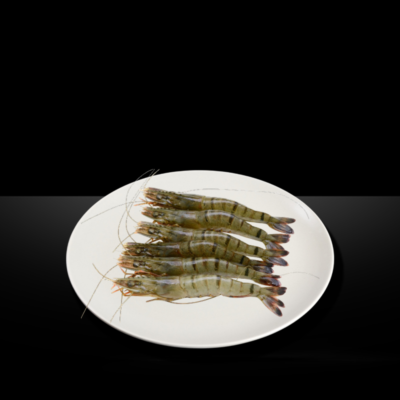 MR KING VANNAMEI TIGER PRAWN HEAD ON SHELL ON 16/20