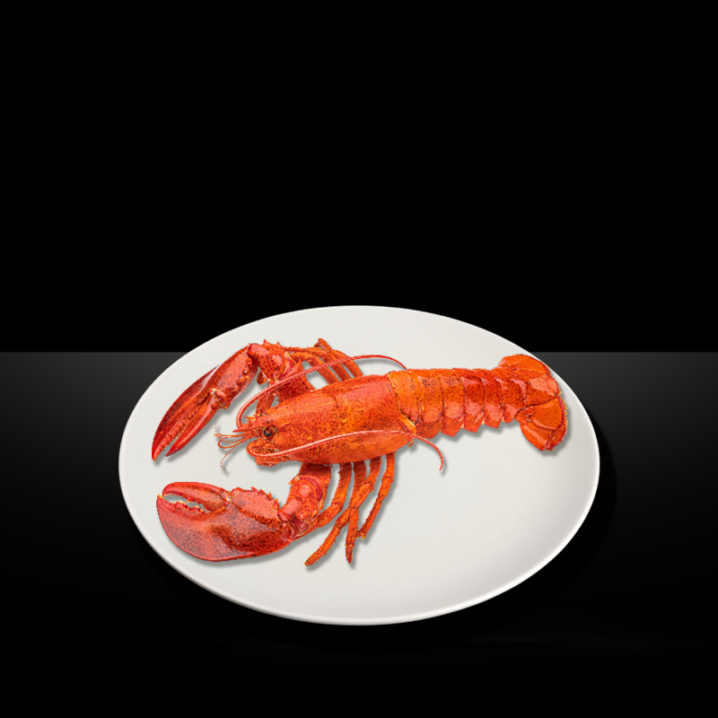 LOBSTER WHOLE