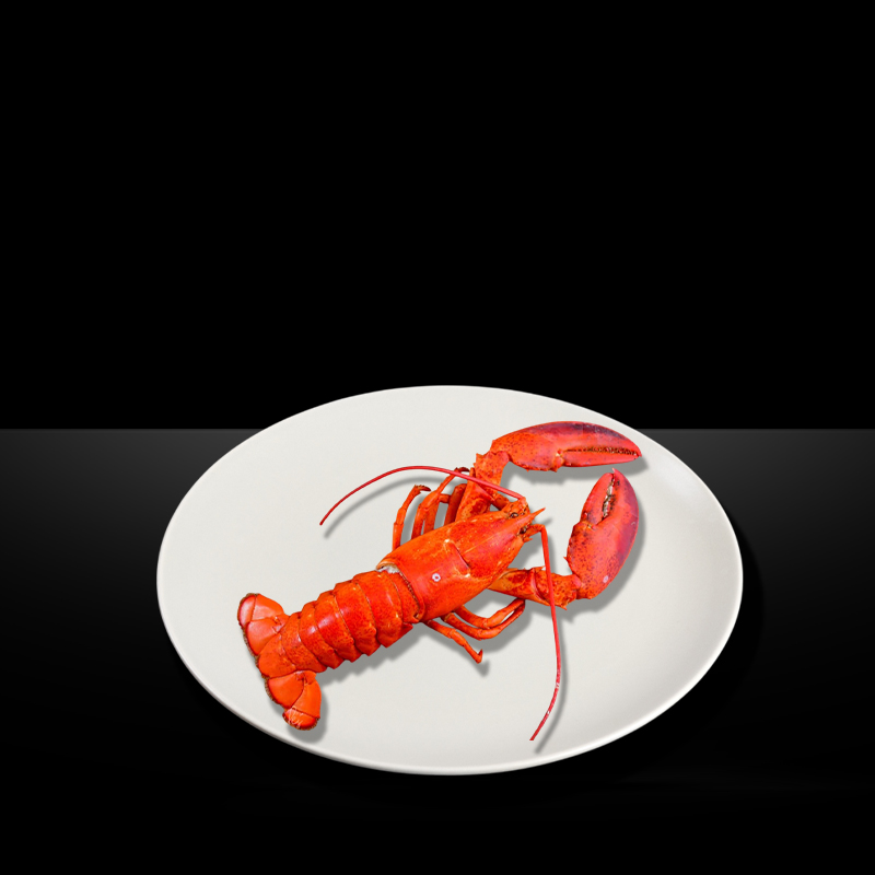 LOBSTER WHOLE