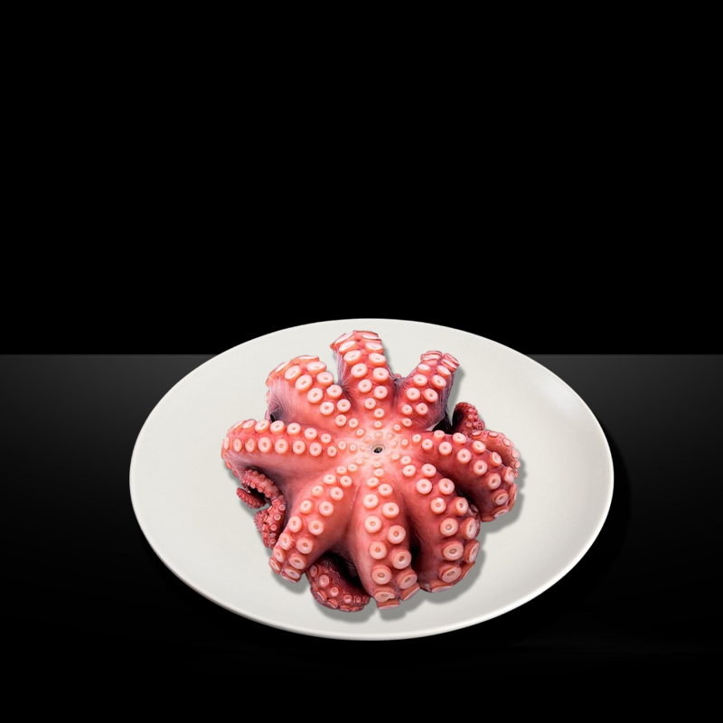 OCTOPUS WHOLE CLEAN