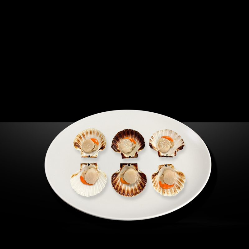 HALF SHELL QUEEN SCALLOPS