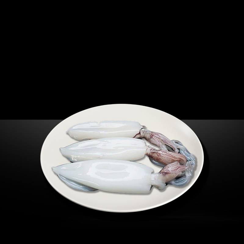 MR KING SQUID WHOLE CLEAN