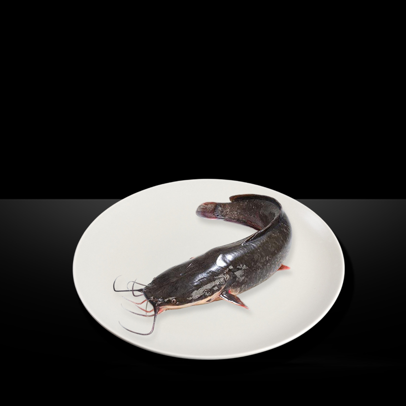 CATFISH WHOLE