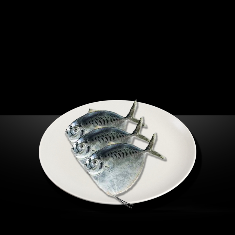MR KING MOON FISH WHOLE