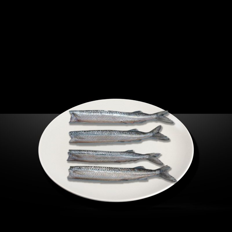 MR KING NEEDLE FISH HEADLESS CLEAN